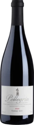 Gamay Noir 2022