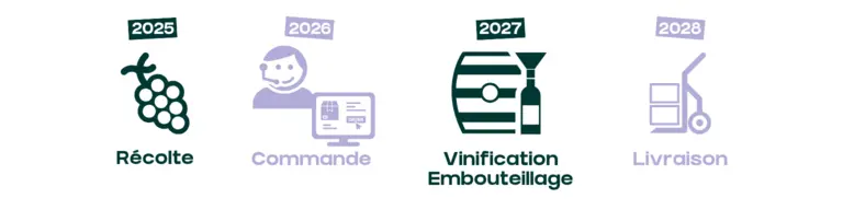 Bordeaux Primeurs 2025