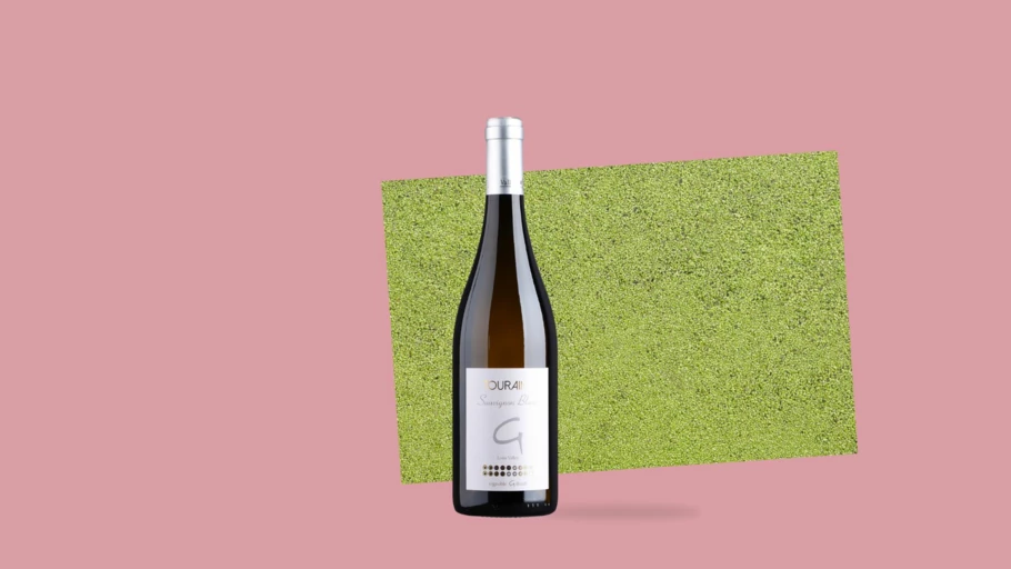 Touraine Sauvignon blanc 2024